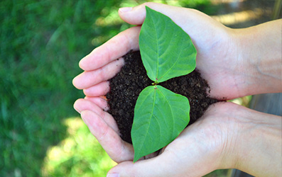 �ƶ����ʡ�(�й�)Ψһ�ٷ���վ