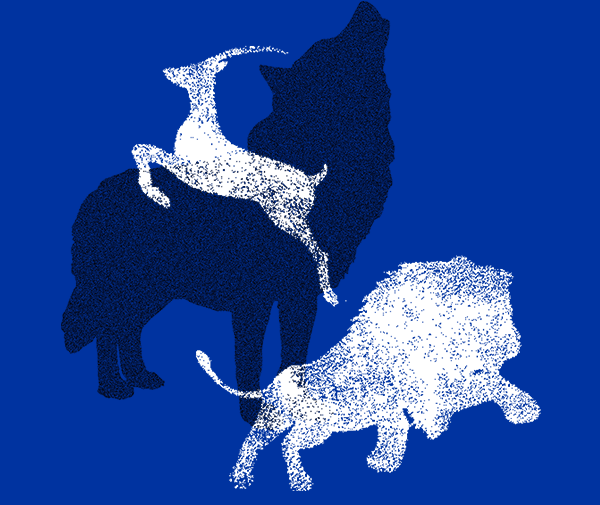 �ƶ����ʡ�(�й�)Ψһ�ٷ���վ